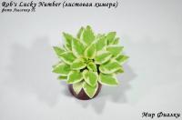 Rob's Lucky Number (листовая химера-миниатюра) (п/ук) - код Ф113