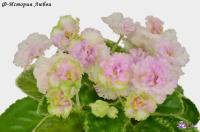 Ф-История Любви (миниатюра) (л/ср) - код Ф884