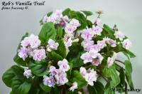 Rob's Vanilla Trail (трейлер) (л/ук) - код  Ф181 Rob's Vanilla Trail (трейлер) (л/ук) - код  Ф181