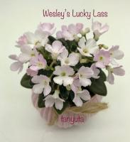 Wesley's Lucky Lass (миниатюра) (л/ср) - код Ф945