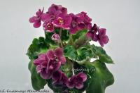 ЛЕ-Фруктовая Мармеладка (миниатюра) (л/ср) - код Ф768