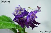 Dem-Джин (дет) - код - С092