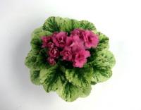 НК-Клубничный Капкейк (миниатюра) (дет) - код Ф878 **