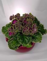 ЛФ-Интрига Вечера (стандарт) (л/ук) - код Ф194