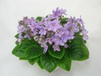 Н-Буриме (трейлер) (дет) - код  Ф817