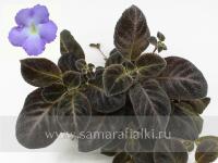 Chocolate Velour (сталон срез) - код Э050