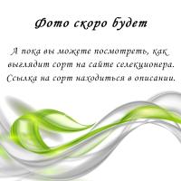 МТ-Звездная Колыбель (стандарт) (л/ук) - код Ф832