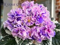 НК-Модна Весна (стандарт) (л/ук) - код Ф710