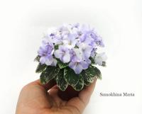 Wesley's Dreamy Lucille (миниатюра) (л/ср) - код  Ф661