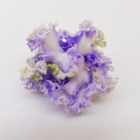 MF-Северное Сияние (м3) (стандарт) (Новинка 2024) (л/ук) - Ф828