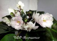 ДЕО-Марципан (стандарт) (дет) - код Ф476 **