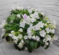 АВ-Корзина Подснежников (трейлер) (л/ук) - код Ф1038