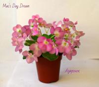 Mac's Day Dream (миниатюра) (дет) - код Ф956