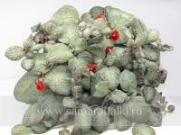 НиКа-Снежный Барс (сталон срез) - код Э044