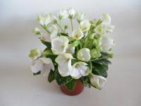 Н-Светлая Печаль (миниатюра) (дет) - код Ф935