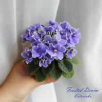 Frosted Denim (миниатюра) (л/ср) - код Ф1021