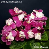 Optimara Millennia (стандарт) (л/ук) - код  Ф182 **