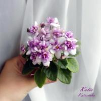 Katia (миниатюра) (дет) - код Ф951