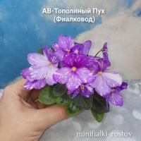 АВ-Тополиный Пух (миниатюра) (л/ср) - код Ф517