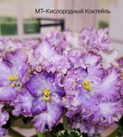 МТ-Кислородный Коктейль (стандарт) (л/ук) - код  Ф292