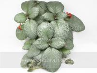 ФЛО-Сжатая Ткань (сталон срез) - код Э045