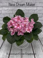 Ness Dream Maker (стандарт-химера) (п/ук) - код Ф155