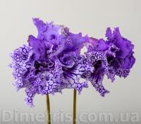 DS-2397 (Новинка) (дет) - код С125