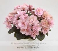 Morgan's Maeves Blush (миниатюра) (л/ср) - код Ф117