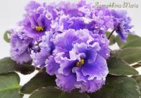 Н-Озёрный Край (миниатюра) (дет) - код Ф927