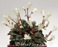 Н-Капелька (микро-миниатюра) (л/ук) - код Ф677