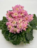 АВ-Аромат Дыни (стандарт) (л/ук) - код Ф468