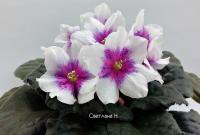 Dn-Музыка Сна (стандарт) (дет) - код Ф429 **