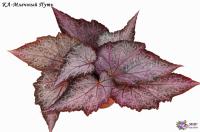 КА-Млечный Путь (дет) - код Б147