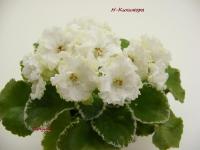 Н-Кикимора (миниатюра) (л/ср) - код Ф971