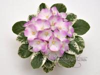 Shirl's Red Sky (миниатюра) (л/ср) - код Ф609 **