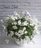 Tensie's Trail (трейлер) (л/ук) - код Ф516 Tensie's Trail (трейлер) (л/ук) - код Ф516