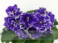 АВ-Мозаика Снов (стандарт) (л/ук) - код  Ф485