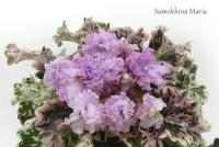 Hunter's Bridled Passion (миниатюра) (л/ср) - код Ф718