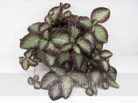 НиКа-Хамелеон (сталон срез) - код Э023