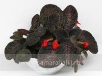 ИТ-Чёрная Королева (сталон срез) - код Э047