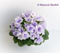 Н-Морской Прибой (миниатюра) (дет) - код Ф922 **