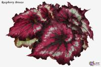 Raspberry Вreeze (л/ср) - код Б038 Raspberry Вreeze (л/ср) - код Б038