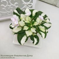 RUD-Green and White (листовая химера-трейлер) (п/ук) - код Ф051