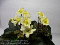 Jolly Sun Chaser (миниатюра) (л/ср) - код Ф561 **