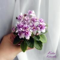 Katia (миниатюра) (л/ср) - код Ф951