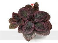 НиКа-Вулкан (сталон срез) - код Э002