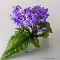 DS-Blue Dragon, 2241 (Новинка) (дет) - код С102