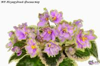 MF-Изумрудный Фломастер (стандарт) (новинка 2023) (л/ук) - код Ф1040