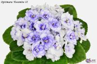 Optimara Yosemite II (стандарт) (л/ук) - код Ф810 **