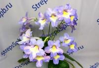 Bristol’s Psychedelic Sun (дет) - С033